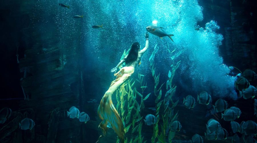 河內樂天世界水族館