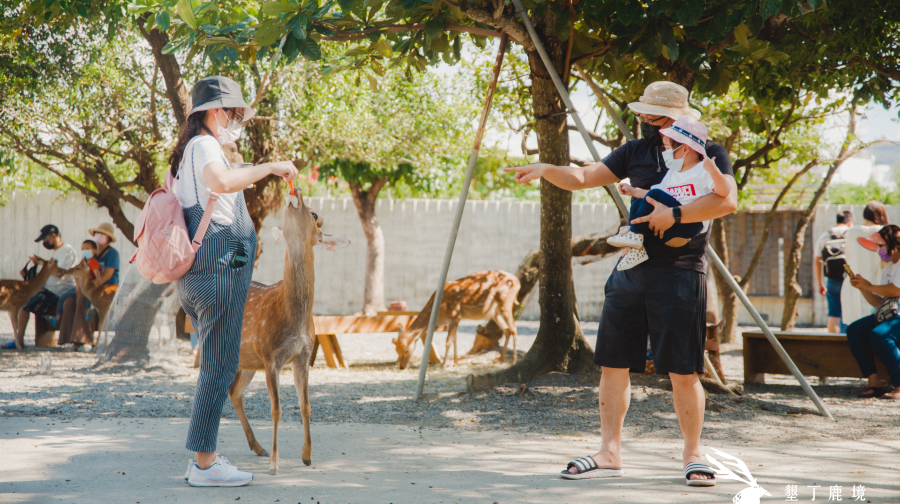 墾丁鹿境梅花鹿生態園區門票(含新台幣140元折抵券)成人
