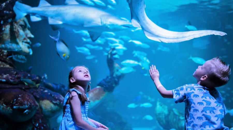 普吉Aquaria海洋水族館