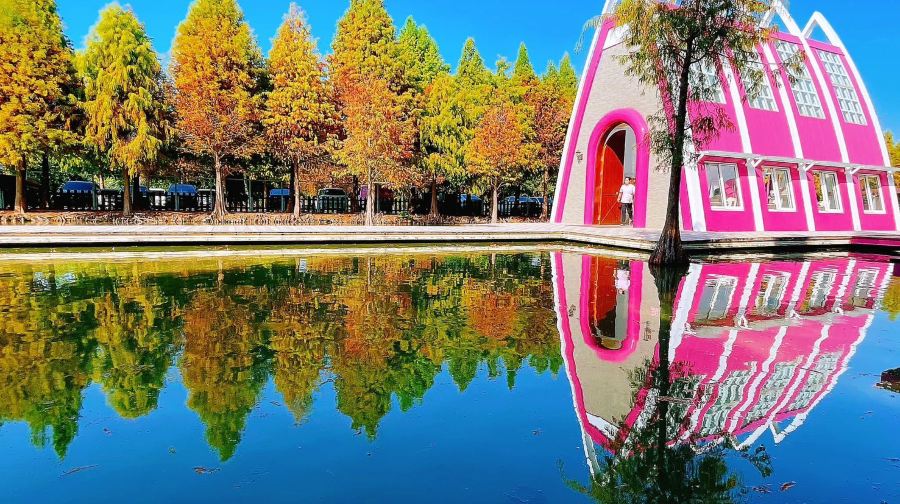 粉紅泡泡咖啡門票大小同價