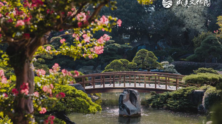 成美文化園票券成人