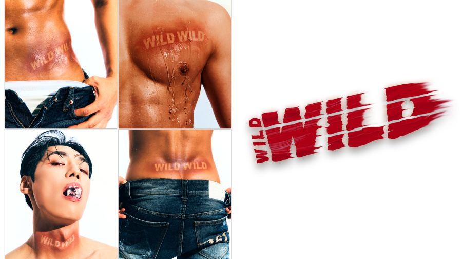 Wild Wild 猛男秀
