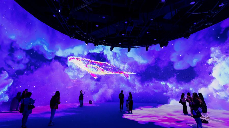 Immersify Kuala Lumpur票券成人（非馬來西亞籍）