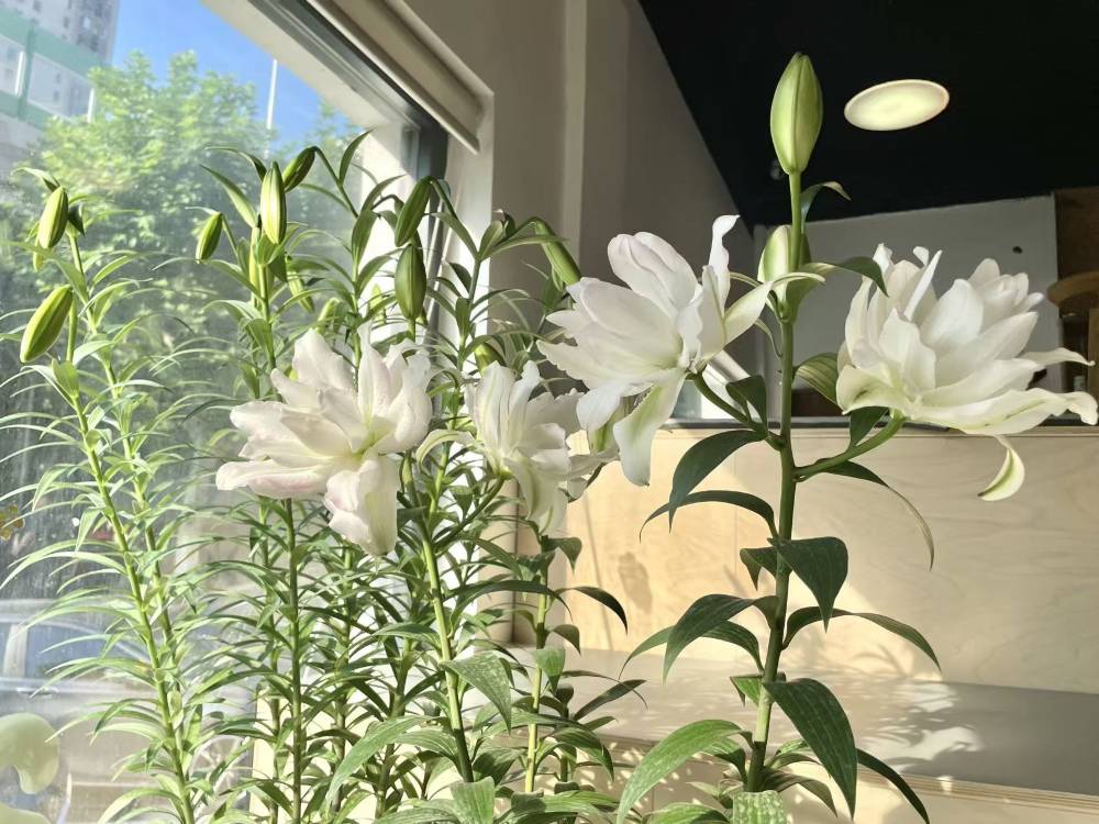 飯店圖片