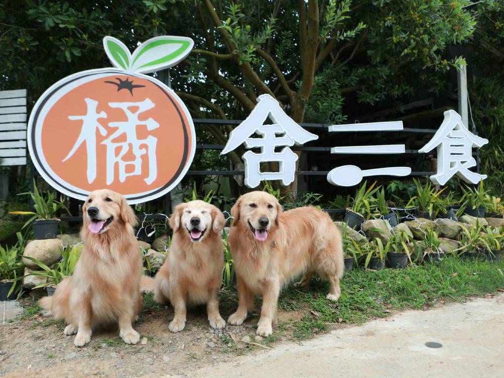 飯店圖片