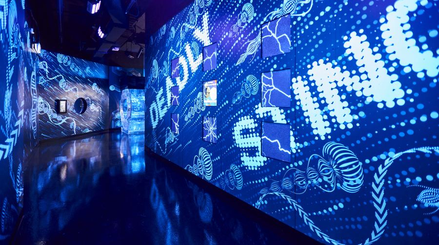 墨爾本水族館門票兒童